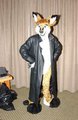 Kendall Fursuit (With trenchcoat)