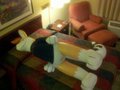 KendallToy hogging the bed