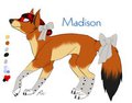 madison old ref