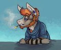 donk by Omophorion
