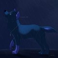 You Promised Me a Rainbow... by NaokiNegai