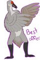 Sassy bird adoptable by JellybeanliesStudios