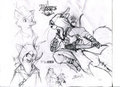 Assassin's Hood