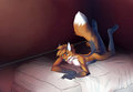 A fox in the bed