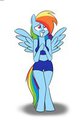 Shy Dashie