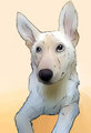 my doge. by KingAce