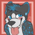 Silly Bashful Nova by NovaCWolf