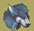 Grr by NovaCWolf