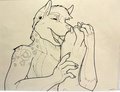 Paw Lick