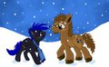 Concerto and 8-Bit