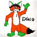 Draco Fox