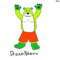 Draco Bear