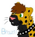 brazil...
