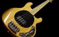 Simple Bass Riff by Icebluekips