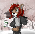 Cold Air Evening by staggard
