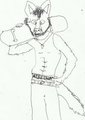 The Skateboarder