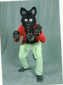 Fencon Picture by JettBlacke