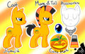 Pumpkin Pie Reference