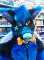 Squeak toys