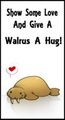 Hug a Walrus