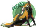 I am a Dumb by Keji