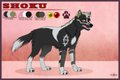 Shoku Reference Sheet 2013 by Keji