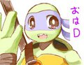 おはD