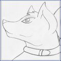 RQ: Shiro and Yang