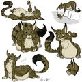 Plenty of Feligris! Drawn by Ozzy Roo, coloured by Razicat.