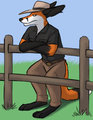 Redtail Foxaroo in RM Williams gear by Redtailfox