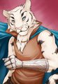 Vagabond