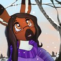 Snowfall