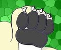 Wolf by CelticPaws