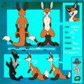 Toony Redtail ref sheet 