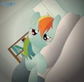 Morning with dashie