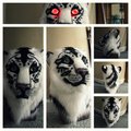 tribal white tiger head Marley