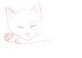 Cat Sketch