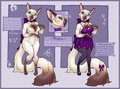 Malva the Siamese 