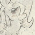 Fluttersketch