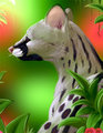 Animal Portrait - Genet by MissOro