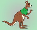A Kangaroo in Sweater 