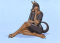 Shy Dobie