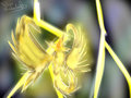Zapdos fanart
