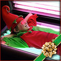 O Tanning Bed