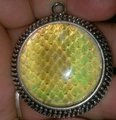 Golden Scales: $25