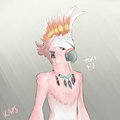 Anthro!Tori