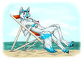 A Day On The Beach