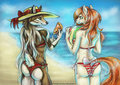 Beach Bums