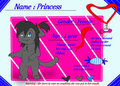 Princess ref sheet 