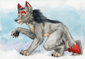 Watercolor Wolfish